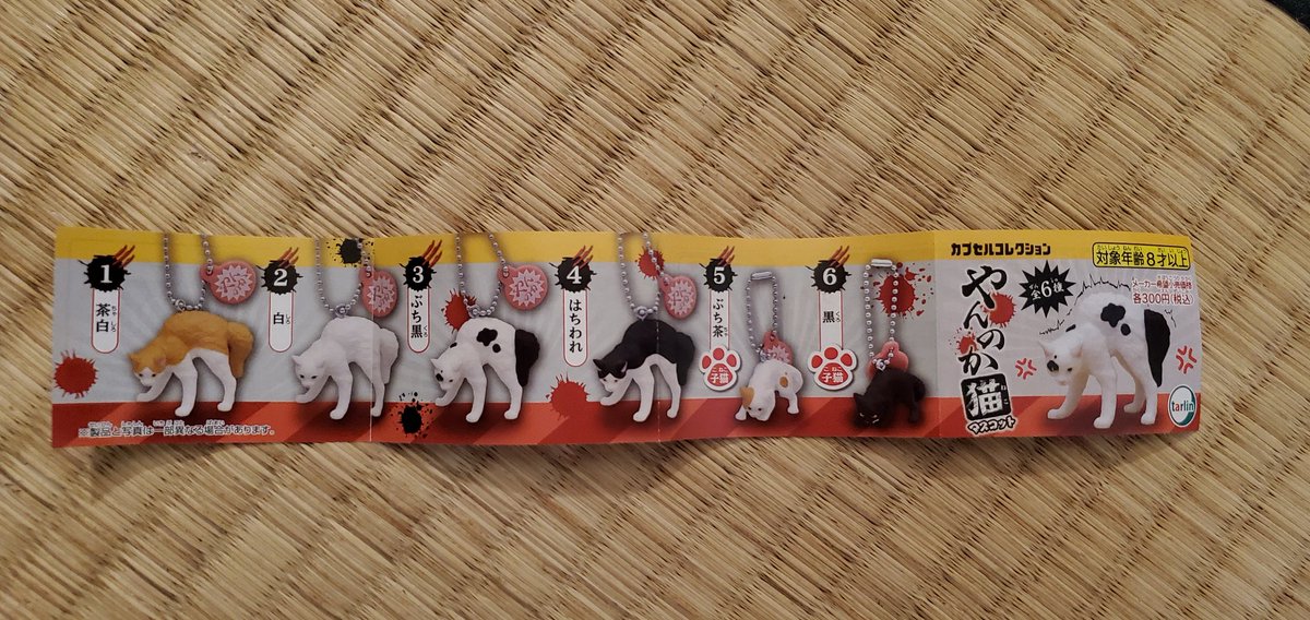 chiho0723's tweet image. ガチャ戦利品

 #やんのか猫 

白がめちゃつなさんやった