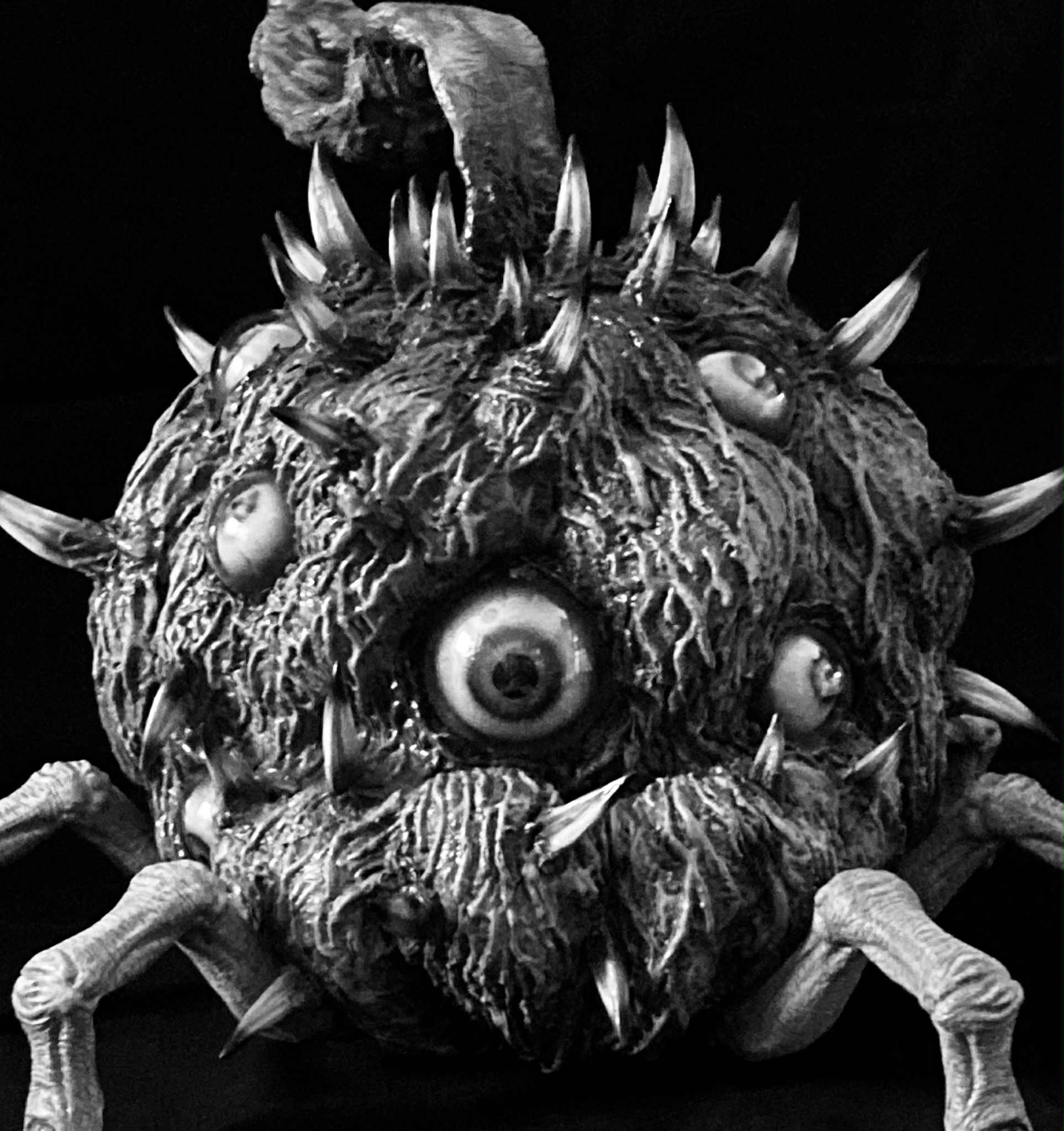 適者生存　日本語　PSA8 適者生存 日本語 PSA8