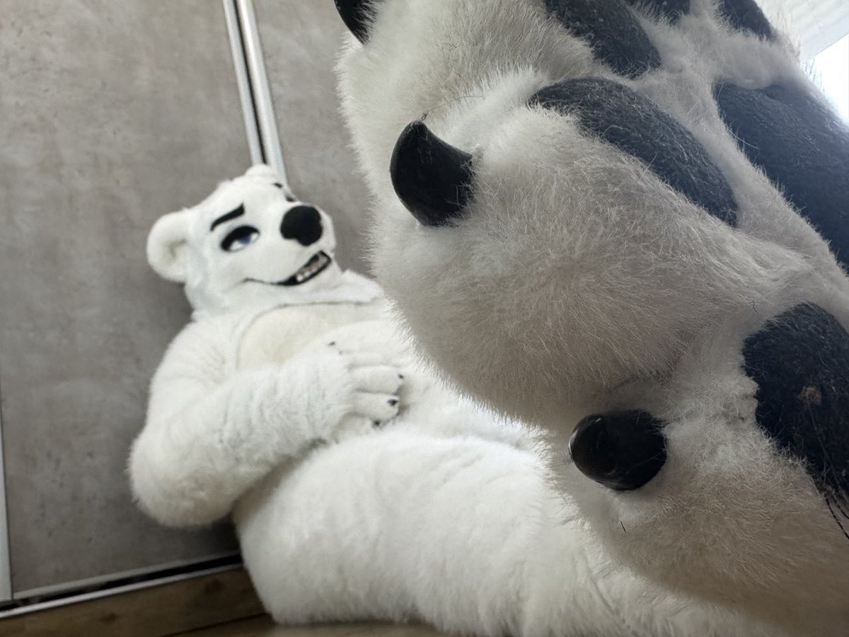 Pfffiuuuu need a break ! You can take care of the paws cuty boy