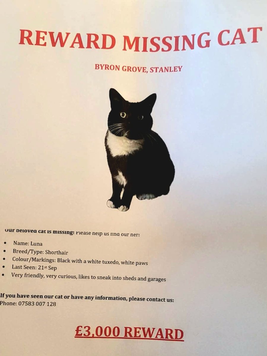 CatsMissing's tweet photo. 🆘️🆘️🆘️ #FindLuna Female Black &amp; White #LostCat Vanished evening of Sunday 21/9/25 Byron Grove area #Stanley #Wakefield #WF3
No collar
Has never spent night away from home in 5 years
⚠️NEEDS MEDICINE DAILY
⚠️NEEDS FINDING FAST
⚠️���If local PLEASE, check gardens/sheds/garages https://t.co/Mc9xHmjv5C
