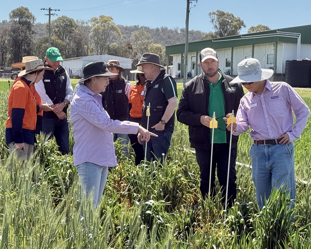 GRDC North tweet media