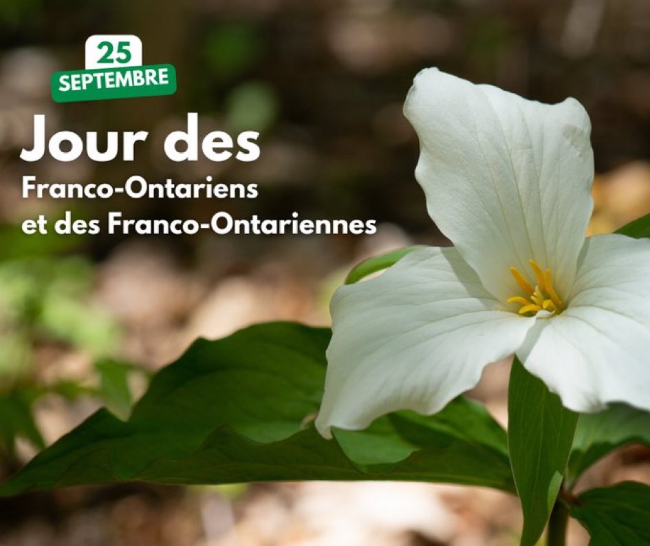 Bonne journée des Franco-Ontariens!
A day to celebrate the French language, culture, and heritage.  Thank you to our FSL educators that continue to build confidence and proficiency in our language learners! 💚