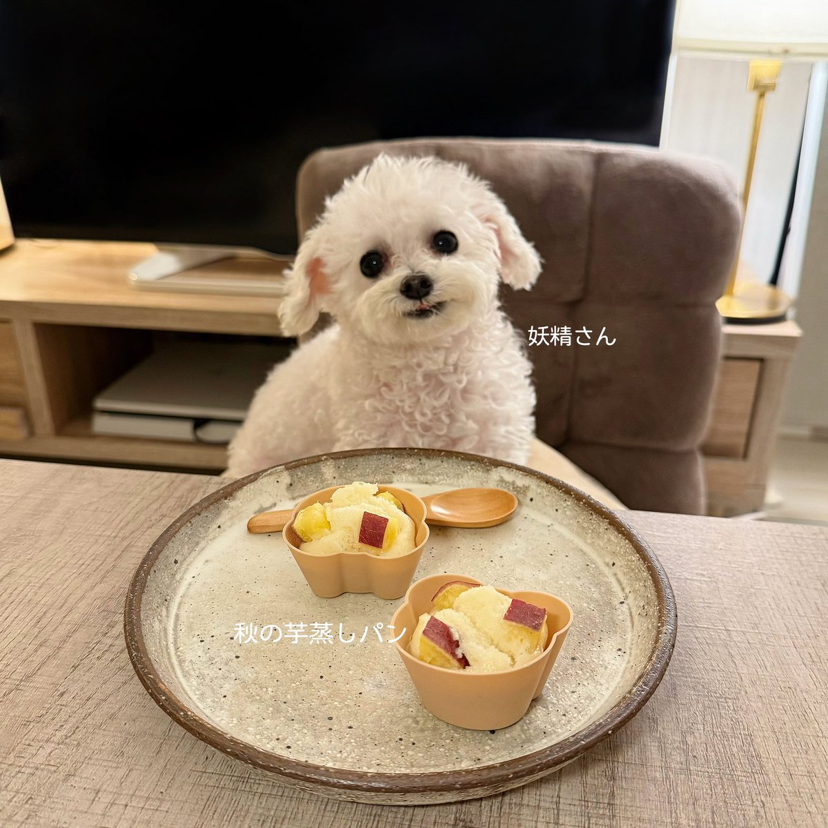 Grace_very_cute's tweet photo. 秋の芋蒸しパン一緒にたべたよ🫶🏻🍠 https://t.co/zTisXjDiQu