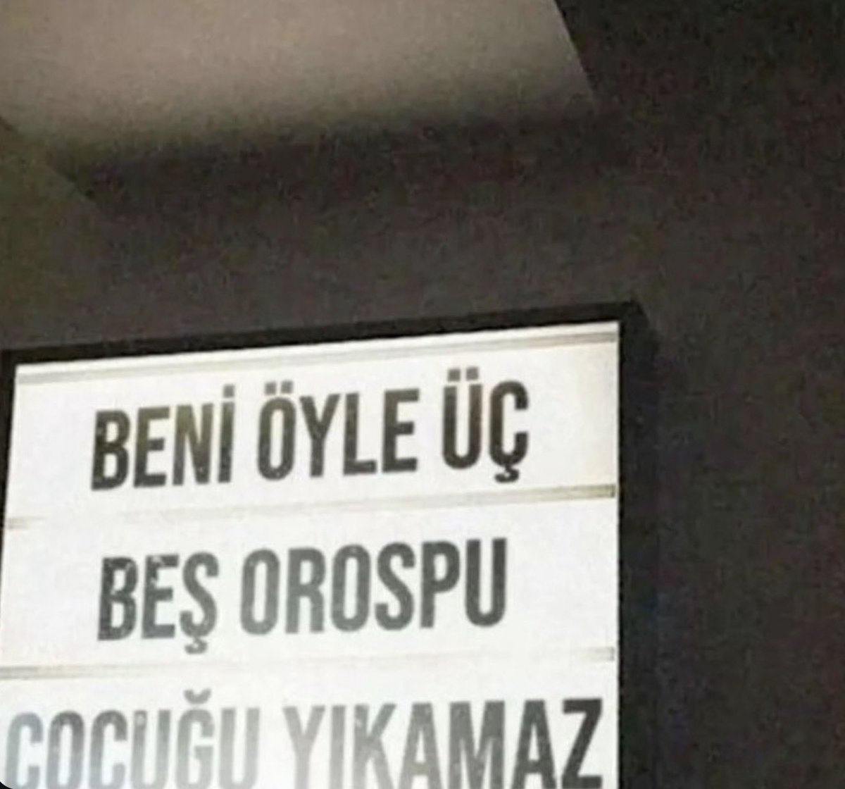 EL PASHA tweet media