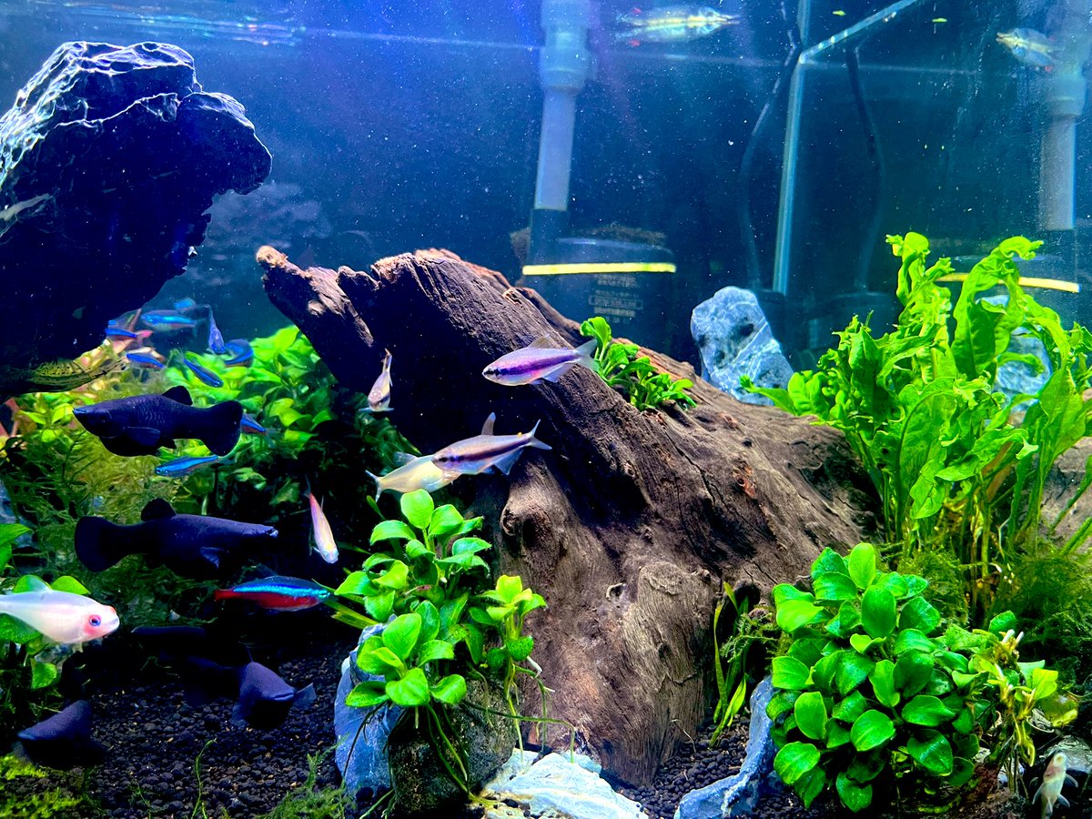 ザキスケ tweet media