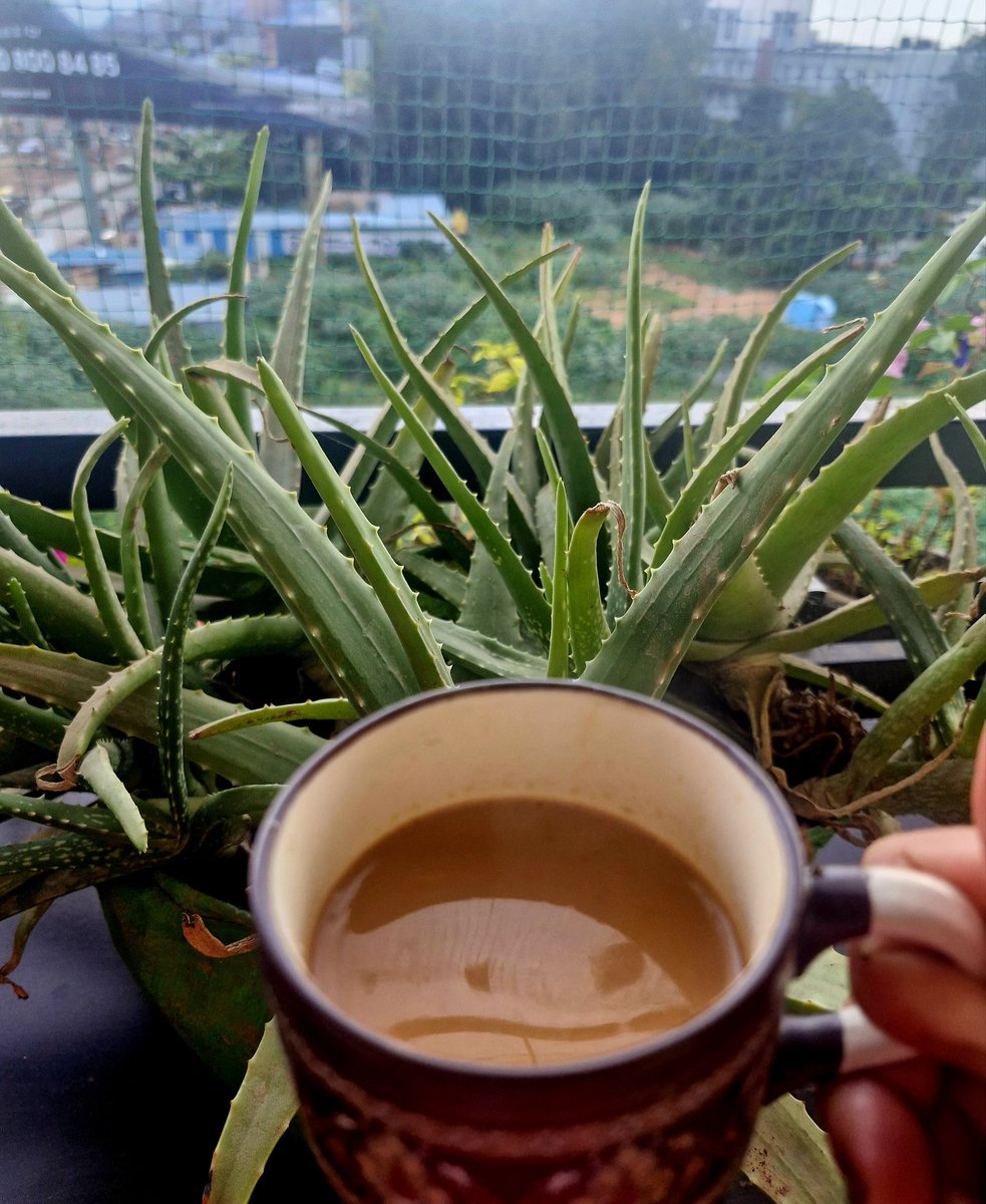 Peak Sheetal Mishra content 😅