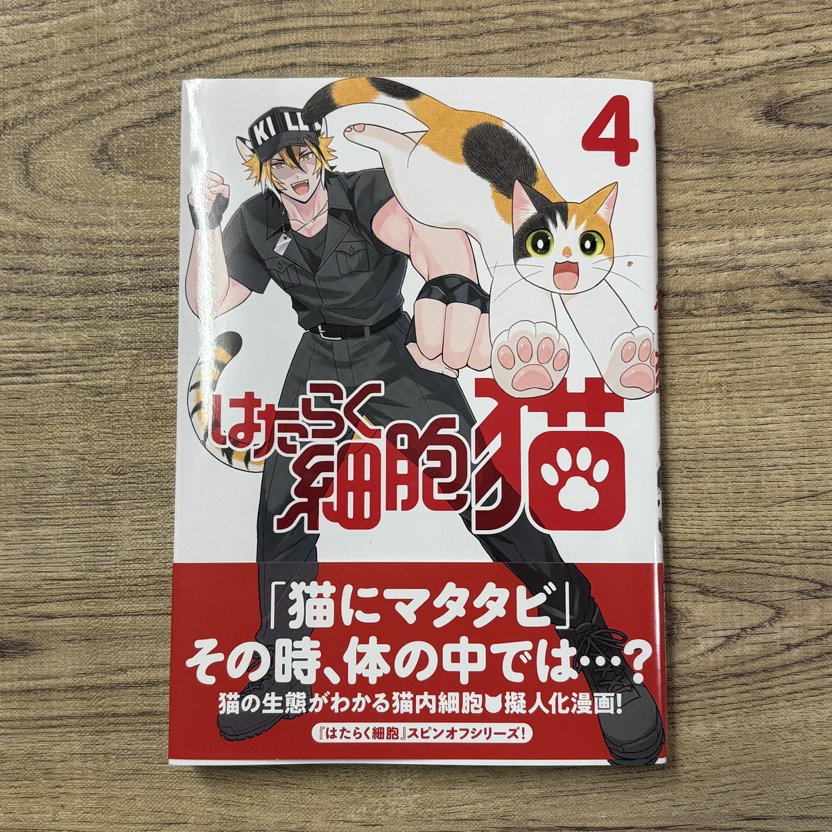 今日のラテアートは「はたらく細胞 猫」から、白血球😆
楽しく読んでとってもためになる猫漫画👍

#はたらく細胞猫 #かいれめく <a href="/kaire_meku/">かいれ めく🐱はたらく細胞 猫</a>