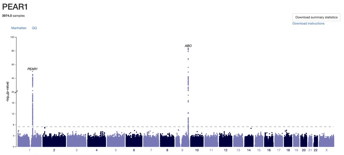 The China Kadoorie Biobank:
ABO blood type variants affect PEAR1 protein levels more strongly (p=1.1×10⁻⁸⁴) than PEAR1's own variants (p=7.1×10⁻⁵¹).

Type O individuals have 15% lower von Willebrand factor and fundamentally different platelet responses. Trans-acting genetic