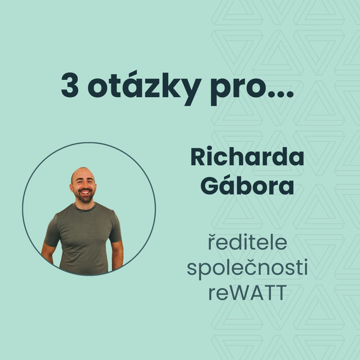Aliance pro moderní stát tweet media