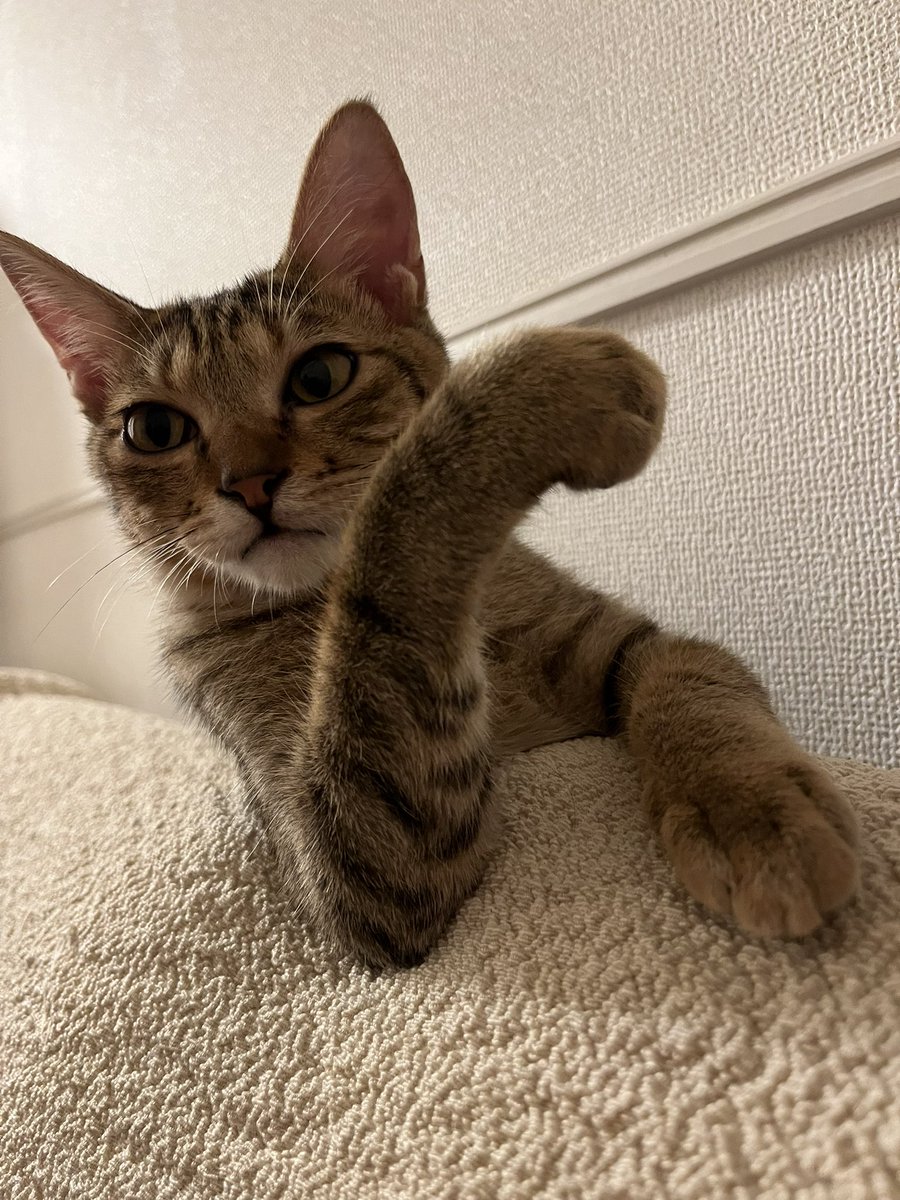 どしたん？話聞こか？