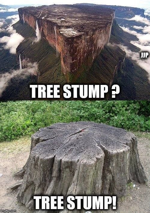 aerovimana's tweet image. 🎶What Hv They Done To TheEarth🌐🎶
🎶What Hv They Done To Our Fair Sister🎶 ~ @JimMorrison @TheDoors

#BearClawMountain #AncientGiantTrees #CloseEncountersOfThe3rdKind #ufotwitter