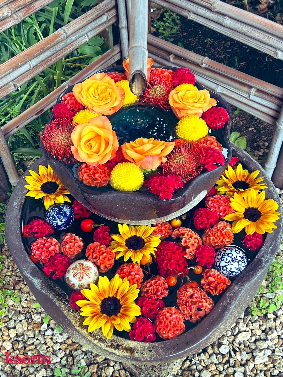 かおりん (@ndL4gJUZ0372er5) / Posts / X