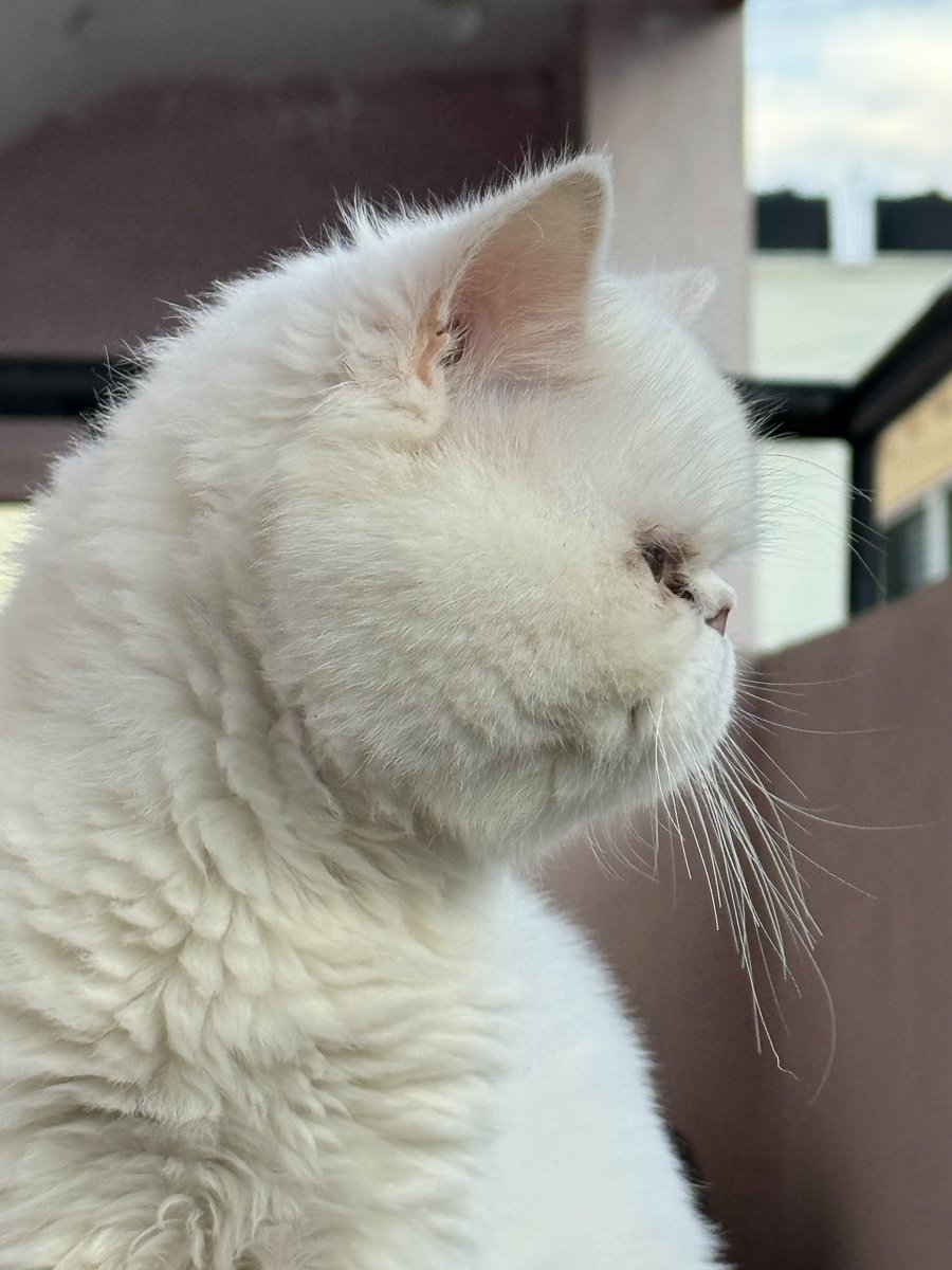 Akash R C tweet media