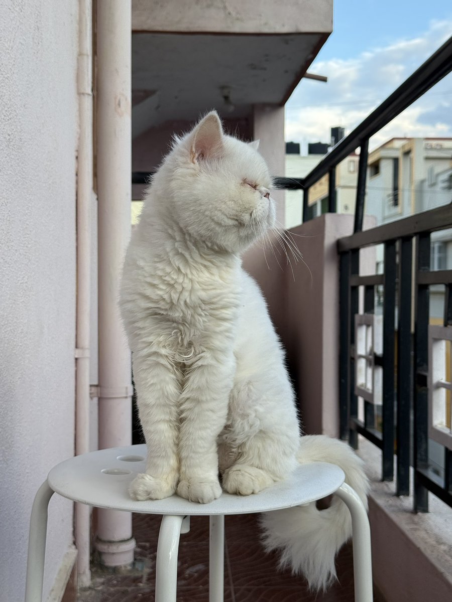 Akash R C tweet media