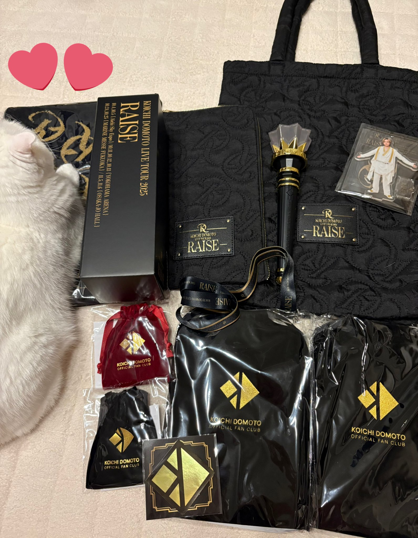 注意！オランダ式オークション、Heart FM福袋ならぬ、福箱！ OSAMU GOODS】student pouch（ドラフティング/イエロー）LC23013