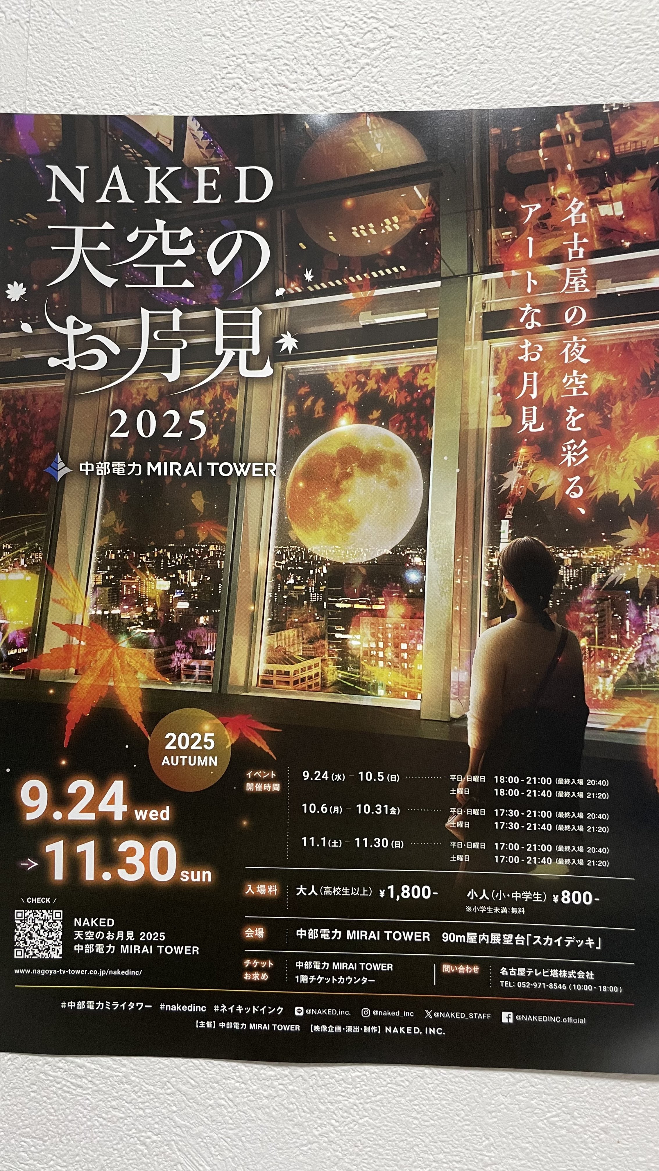 ガーナの熱い風　国営企業再建に賭けた日々 ガーナの熱い風 国営企業再建に賭けた日々 Amazon.co.jp: ガーナの