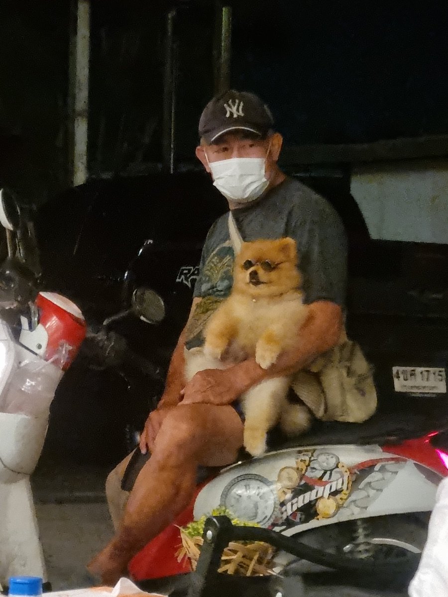 강아지를 저렇게 태워서 다니는 힙한 아자씨.. ㅋㅋ