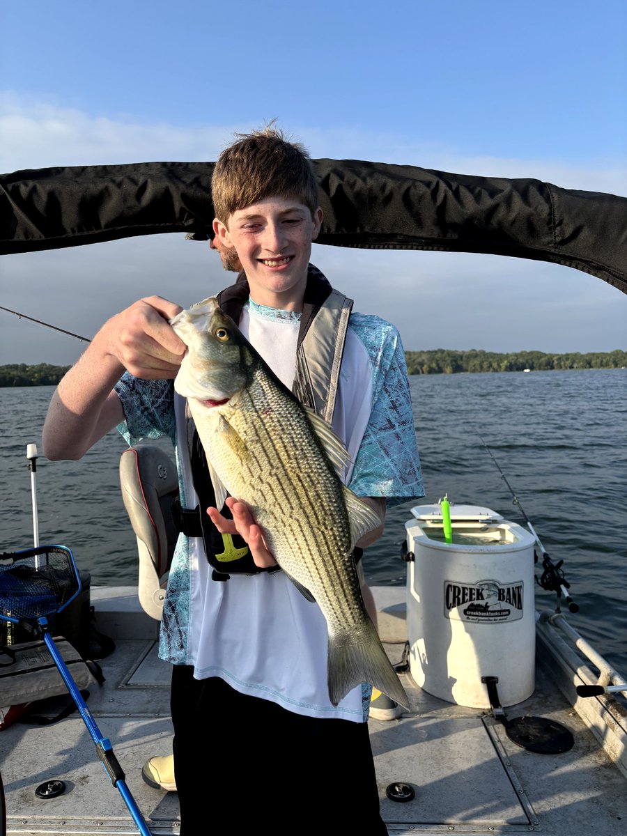 🦁david james⚓⬇ tweet media