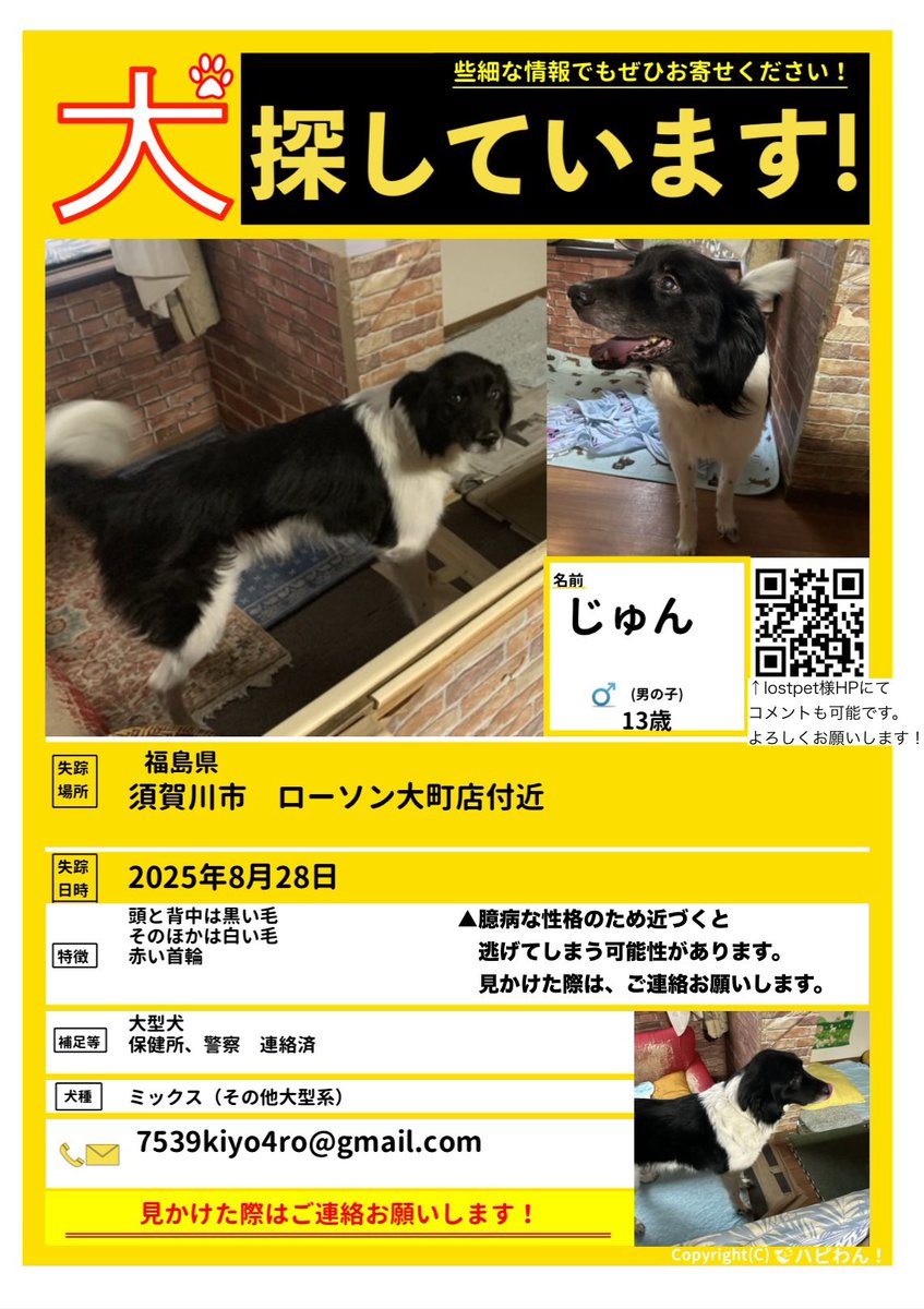 MHuAoMKRpZ73588's tweet image. 情報が無く、捜索が困難な状況です…
些細な情報でも構いません、見かけた方、ご連絡をお願いします

#迷子犬 #迷い犬 #犬 #探しています #福島県迷子犬 #福島県 #須賀川市 #郡山市 #田村町 #拡散希望