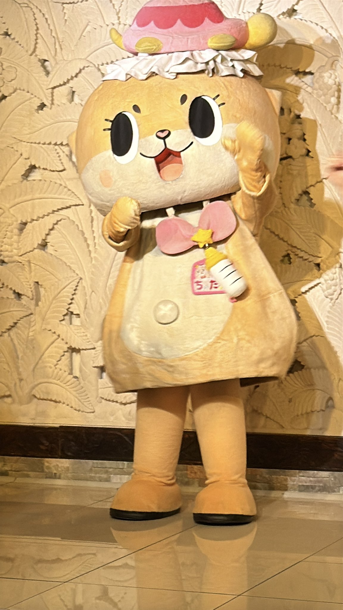ちいたん ちぃたん☆／Chiitan (@chiitan7407) / X