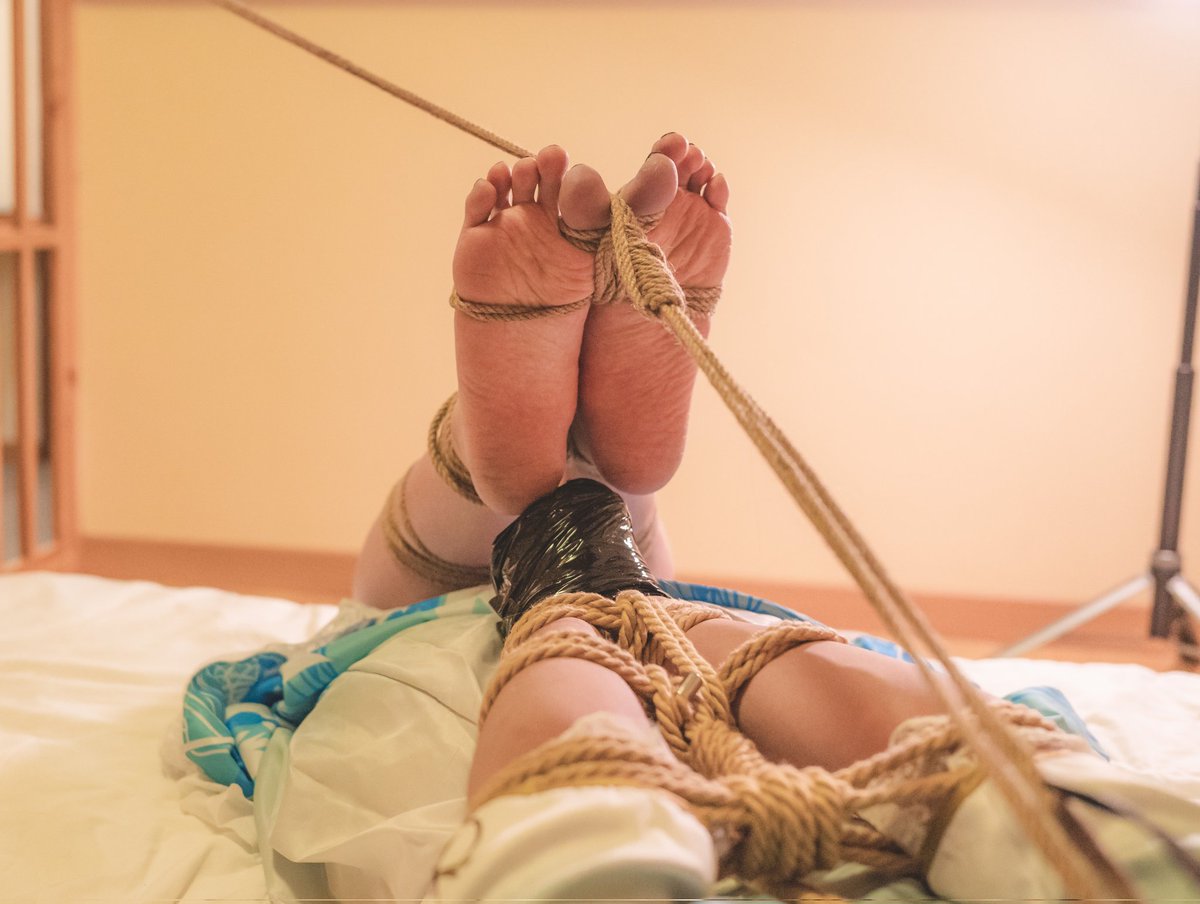 M:<a href="/TanggoTYZ/">清瞳</a> 
🪢/📷:<a href="/Chipsshibari/">Chips</a>