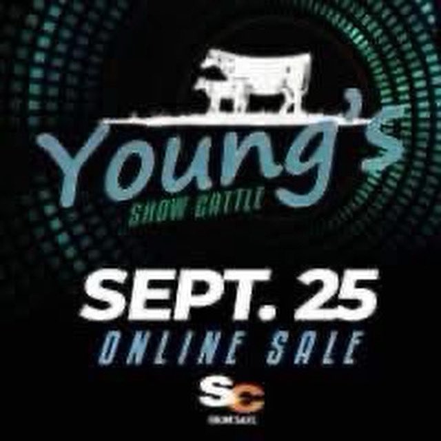 mattlautner's tweet image. #Wyoming 

Young Show Cattle Tofay On SC Online Sales 

Link: 
sconlinesales.com/Bids/AuctionsL…

#CheckEmOut