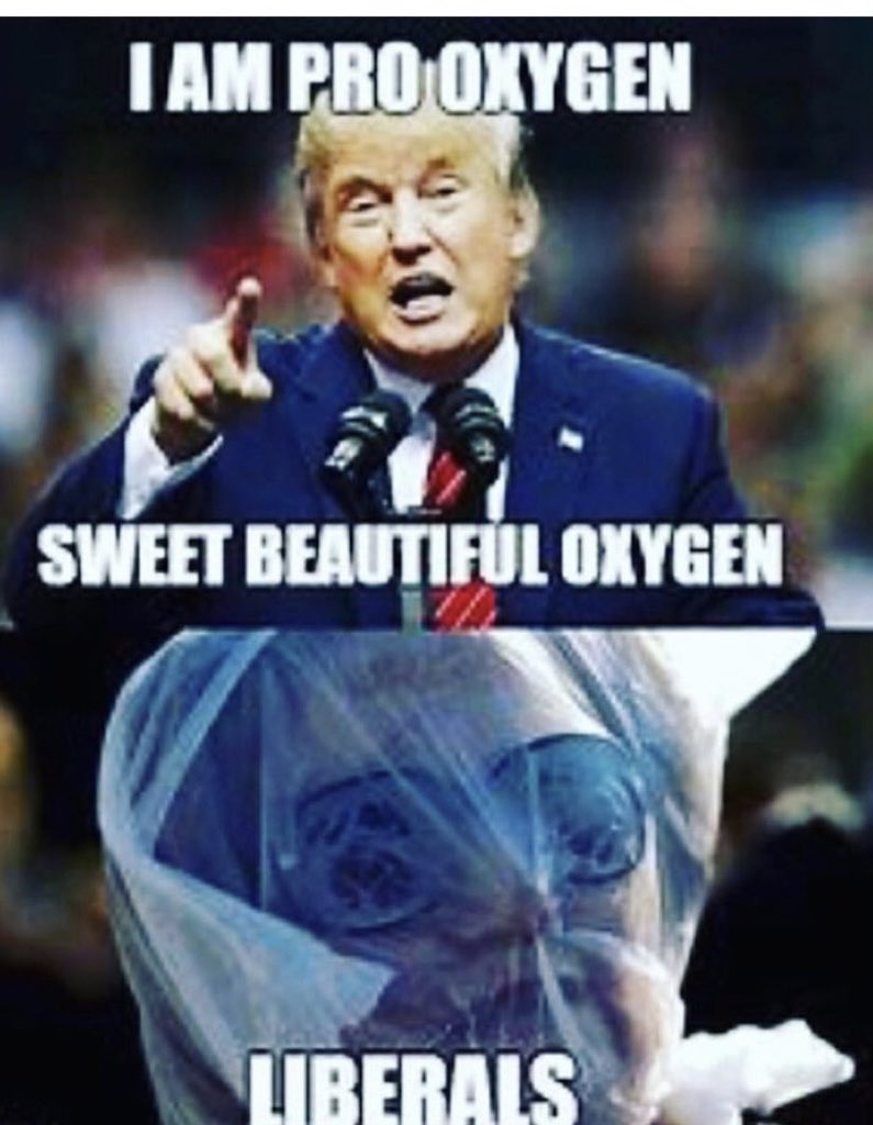 Disordered with Brett Segal tweet media