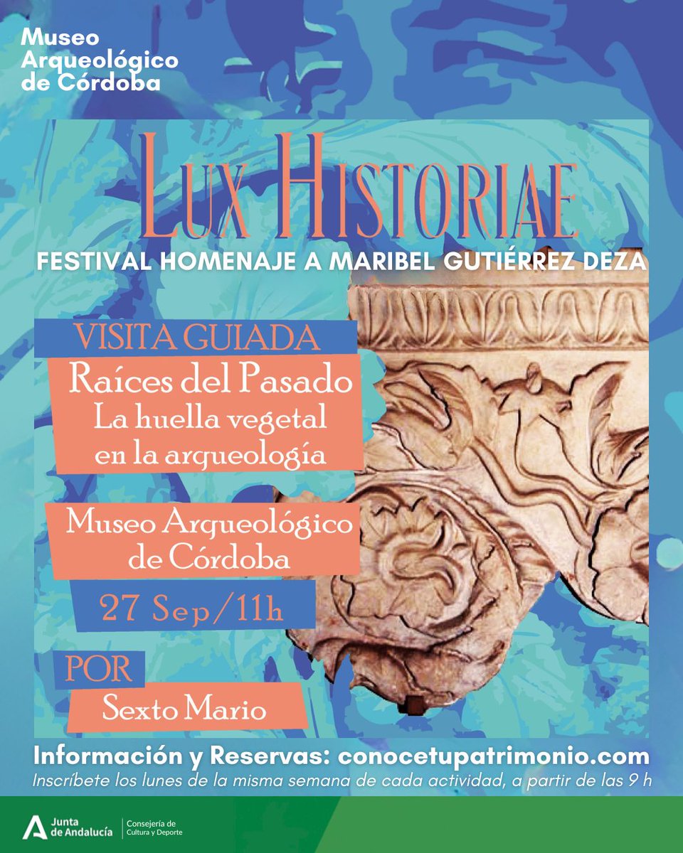 📣 ¿Te gustaría descubrir la arqueología desde una nueva mirada?

🌿 Raíces del pasado. La huella vegetal en la arqueología
📅 Viernes 27 de septiembre | 🕚 11h
📍 Museo Arqueológico de Córdoba
Lux Historiae. Homenaje a Maribel Gutiérrez Deza

🎟️ Reservas: conocetupatrimonio.com