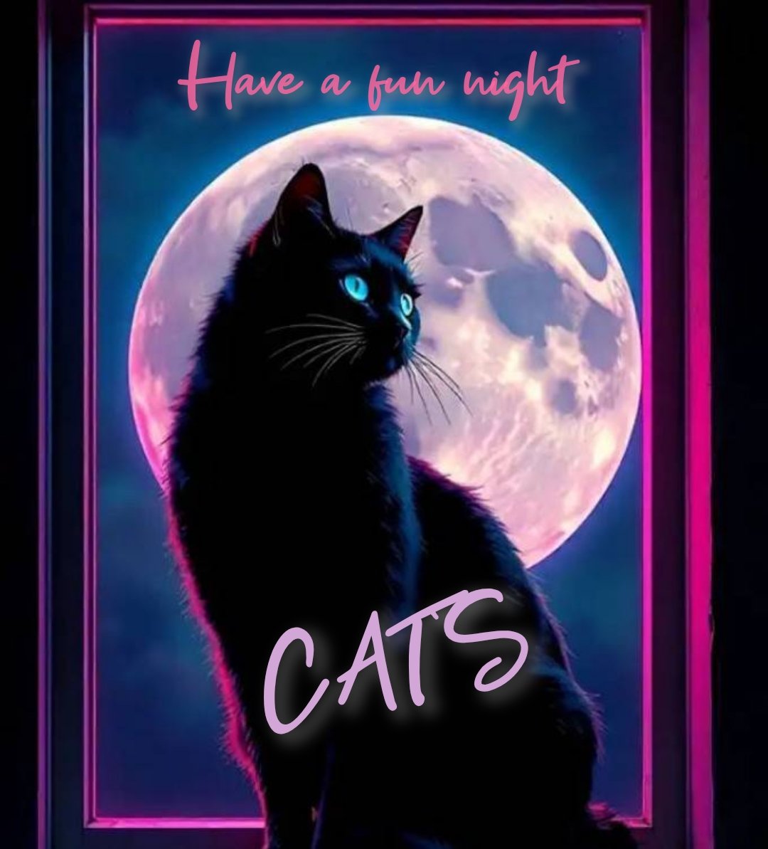 本日も20時からオープンしてますCatsです🐈‍⬛
お席空いてますのでぜひ皆さまのご来店お待ちしております！
カラオケ好き、お酒好きな方はぜひ😁
#金沢スナック
#金沢bar
#barCats
#片町シンニチビル１階
#カラオケ無料
#女性スタッフ募集中