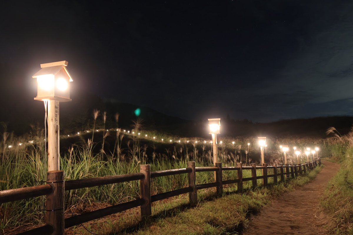 曽我高原の山灯り。
ススキはまだ出始めだけど、幻想的でとてもよかった🌃