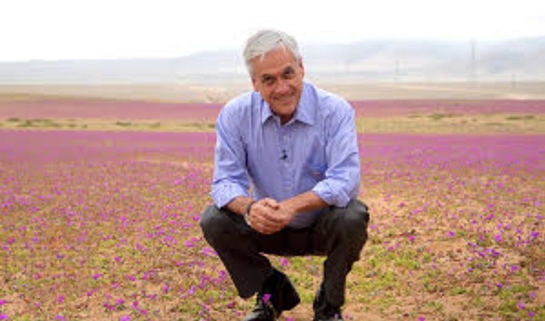 Gran recuerdo; acá don "pelotas" dañando hasta las flores.