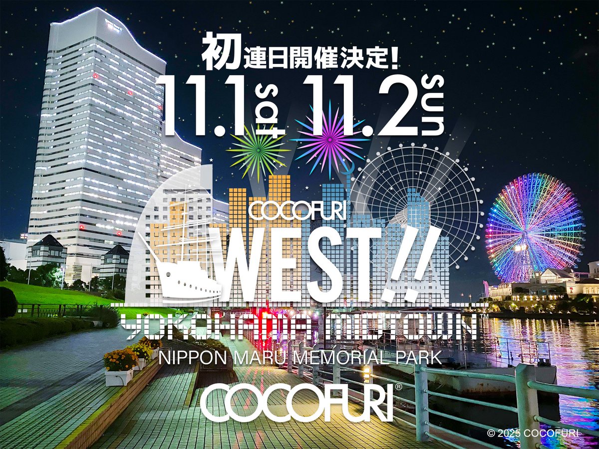 【大晦日の夜】 Tokyo Night Fireworks New Year Celebrating Stock Photo