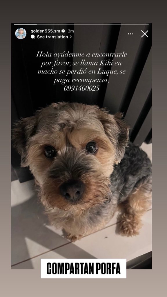 Si pueden compartir por favor! 

Se escapo en Luque (zona America y Jardin de Oro). Responde al nombre “Kiki”. 

Gracias!!