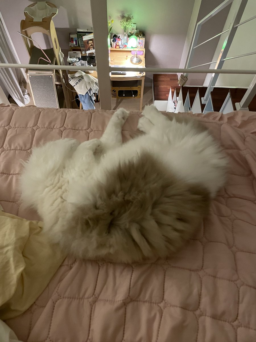 하늘에서 갑자기 뚝 20편이 떨어졌으면 조케따