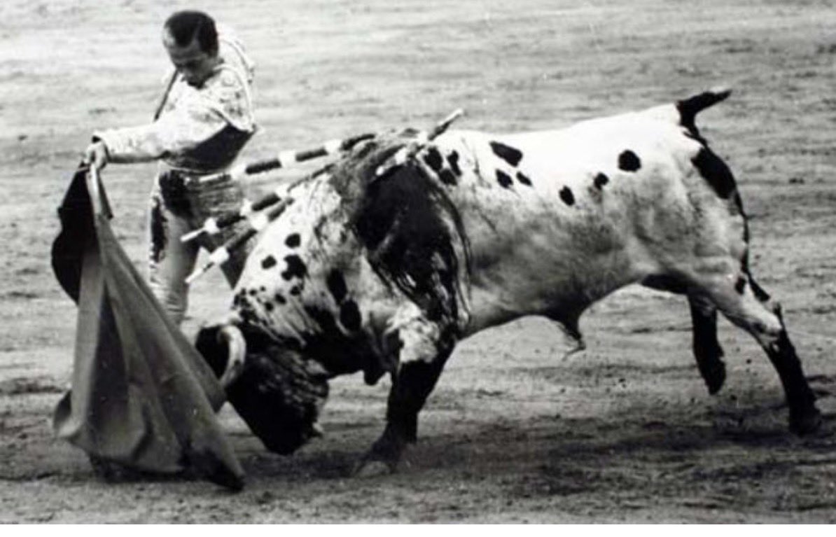 Lo de buscar un ejemplar de Osborne para que lo lidie Morante en el festival es un regalo para el aficionado. Incluso mermando las posibilidades de triunfo propio.  Porque puede que no embista, pero es tan bonito como molestarte en buscar un vino de 1898 solo para agradar a un