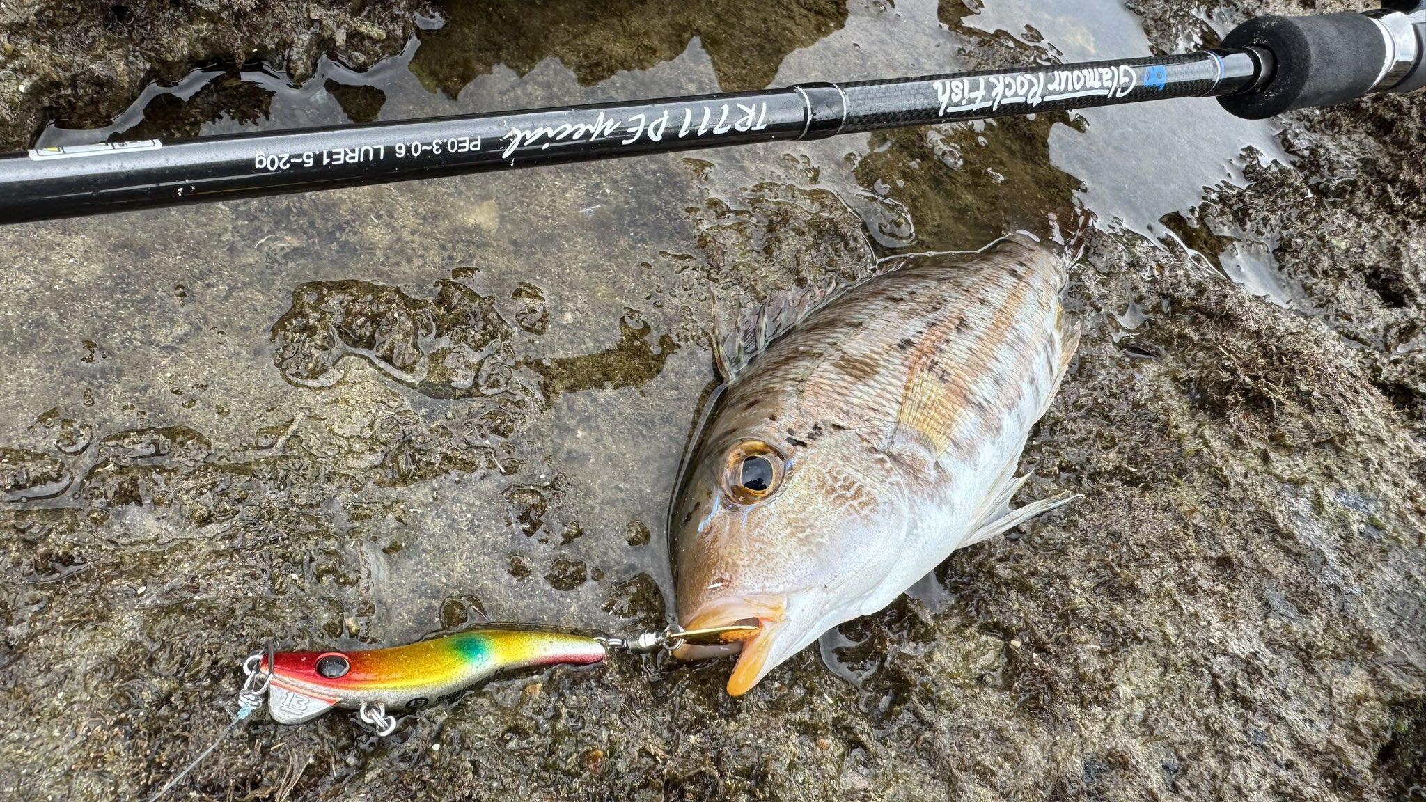 ブリーデン公式 (@breaden13) / X