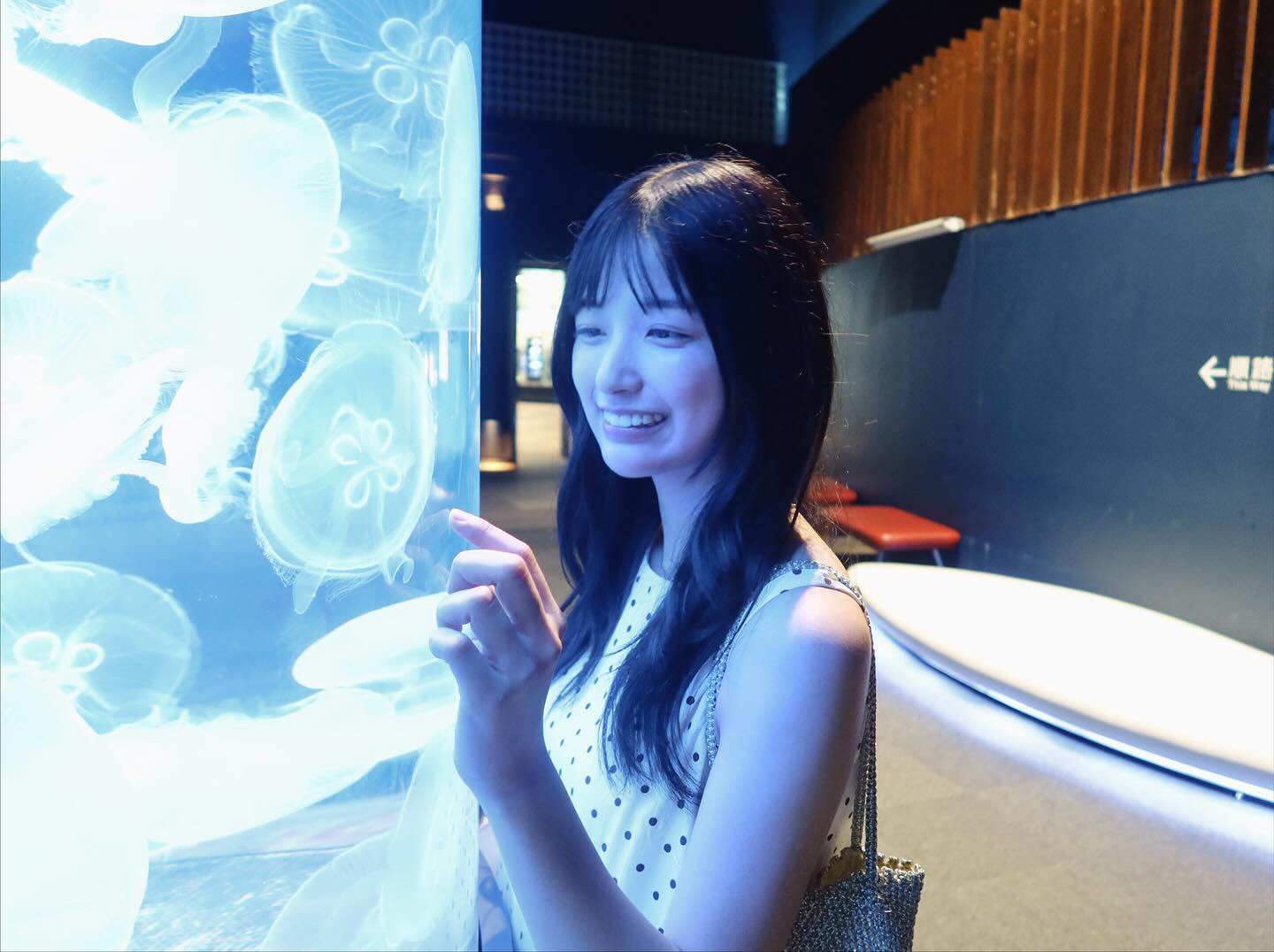 逢田珠里依 チェキ 逢田珠里依 直筆サイン入りチェキ応募券 3枚 抽プレ ≒JOY