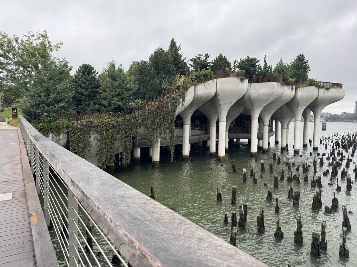 Rebecca Kortum tweet media