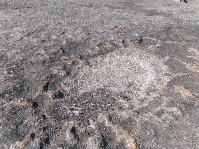On Friday, 8 September, the Grade 10 Geography class went on an excursion to Paarl Rock . Click here to read more cannonscreek.co.za/grade-10-pupil… #geography #paarlrock