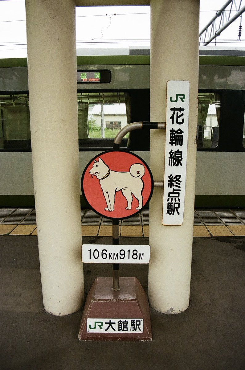 #愛用カメラを画像付きで布教する 

Canon EOS620

初代EOSシリーズのうち、上位モデルに当たる620。初期のAF機故に被写体によってはピントが合わず迷いがちなのはご愛嬌だが、プログラムAEが優秀なので基本的には扱い易くオススメ。シャッターも1/4000まで使える。