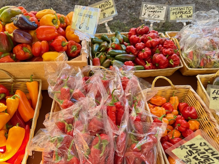 bfarmmarket's tweet photo. Pumpkin Give-Away Saturday Sept 27 2025 from 9 to 1.  Stop by and pick up a complimentary pumpkin grown by C.N. Smith Farm and sponsored by South Shore Bank.  Enjoy a full Fall harvest of locally grown produce along with baked goods and much more.- https://t.co/i0FBS6R45T https://t.co/ghQIIhaGk6
