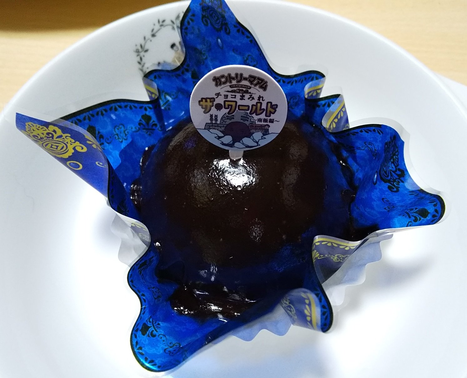 [ラストサマーセール❗️]希少コブセミエビ2体とセミエビ剥製 西表あくび (@necroakubi) / X