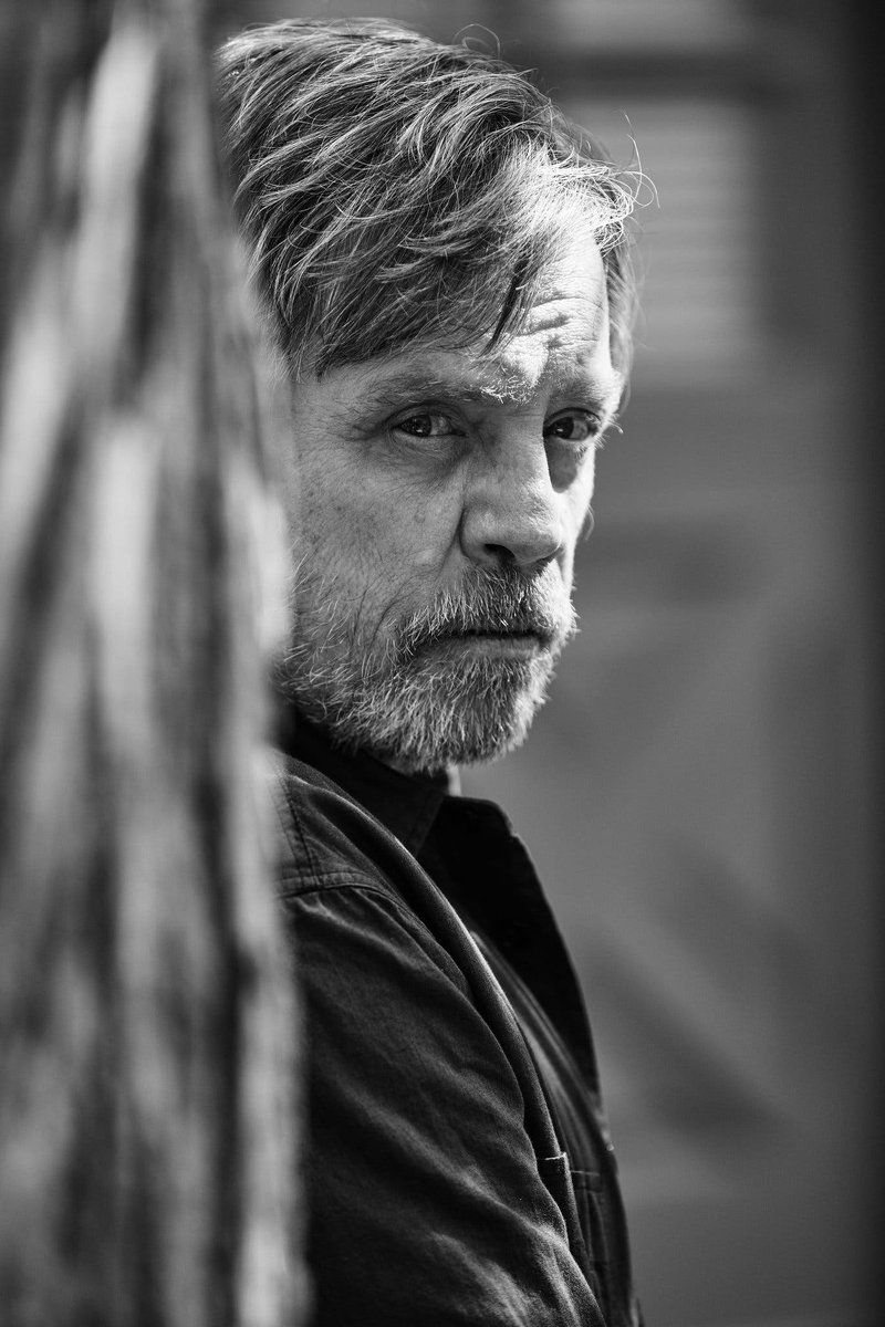 PeterWMurphy1's tweet image. Happy Birthday to the wonderful human @MarkHamill. Thank you for speaking out on issues of human rights and justice, and speaking against tyranny. Thank you for sharing so many wonderful anecdotes re film-making. The Force will be with you. Always. 🙏 🎂 #MarkHamill