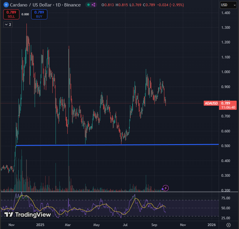 Sssebi🦁 tweet media