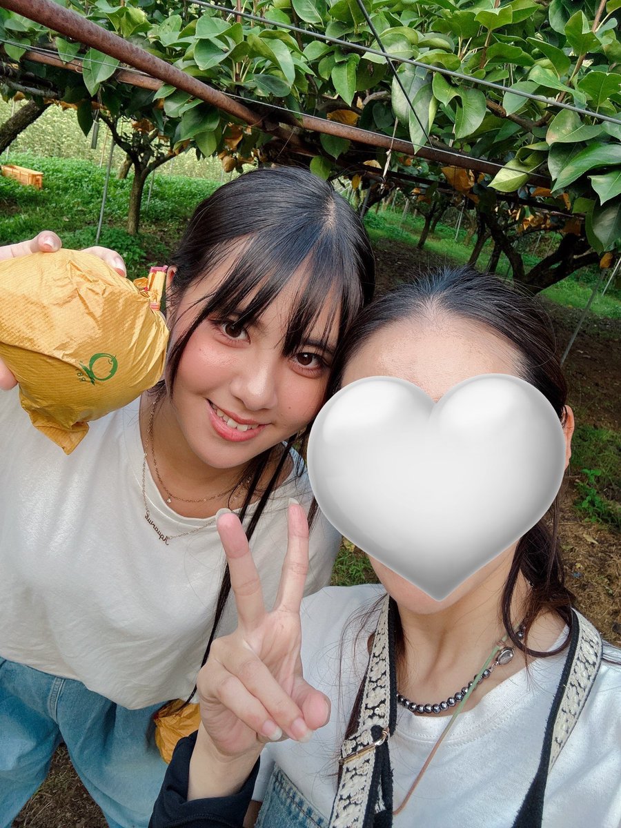 こないだ、熊本にある優峰園にいって梨狩りしてきたよー⋆ ˚｡⋆୨୧˚☁️🌱♡‧₊˚

今年もいっぱい食べてきたぁ〜♪

今年は「あきづき」と「二十世紀」の2種類だったよー🍏“
二十世紀は、梨なのにりんごっぽくって不思議だった！

2種類ともおいしかったな〜^ ^💭
絶対また行くっ！！！！！

#LUNA