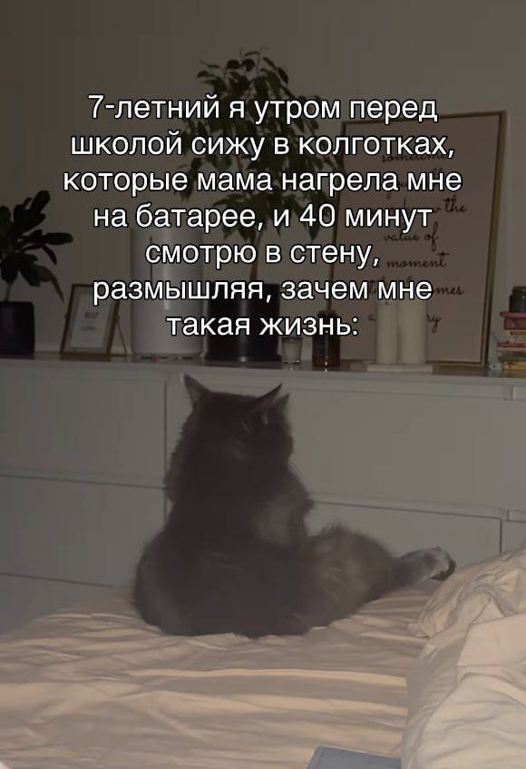 catsilcats's tweet photo. https://t.co/bX7D74m8qL
