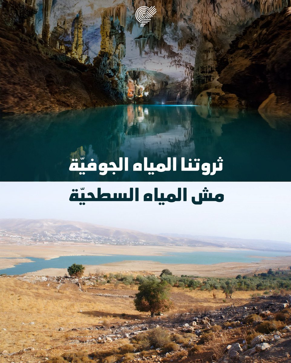 TERRE Liban tweet media