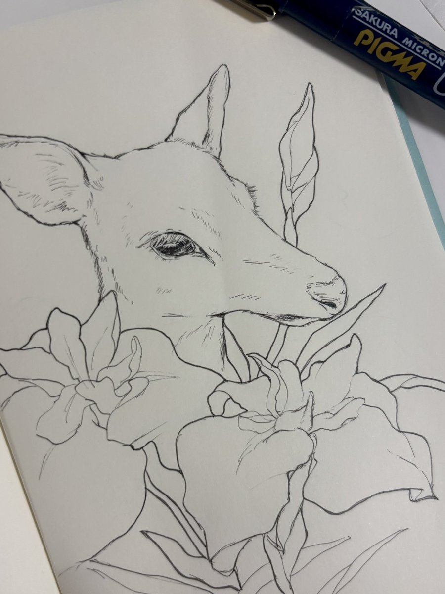 R_suisai's tweet photo. めっちゃ久しぶりにざっくり描いたわりには上手いな！
時間かけてしっかり集中したら満足できるの描けるかな🩵
 #アナログ https://t.co/P7mVs1wqdE
