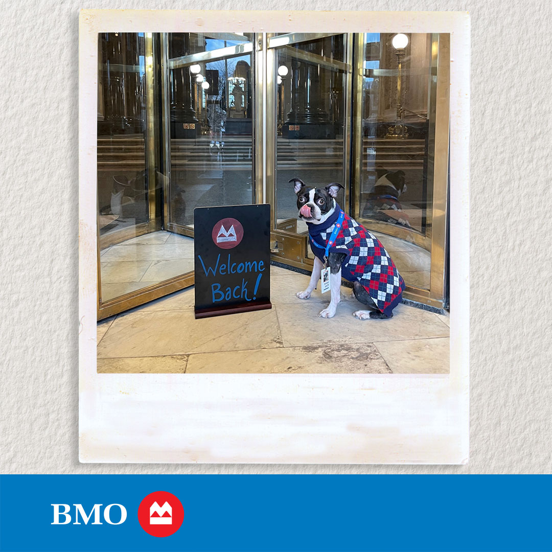 Back to school vibes have Fergus, our Corporate Barkivist, sniffing out first day photos at BMO. From formal portraits to photo IDs, picture day has evolved. Check out our digitized employee photo album dating back to the late 1800s. spr.ly/6013fcSnc