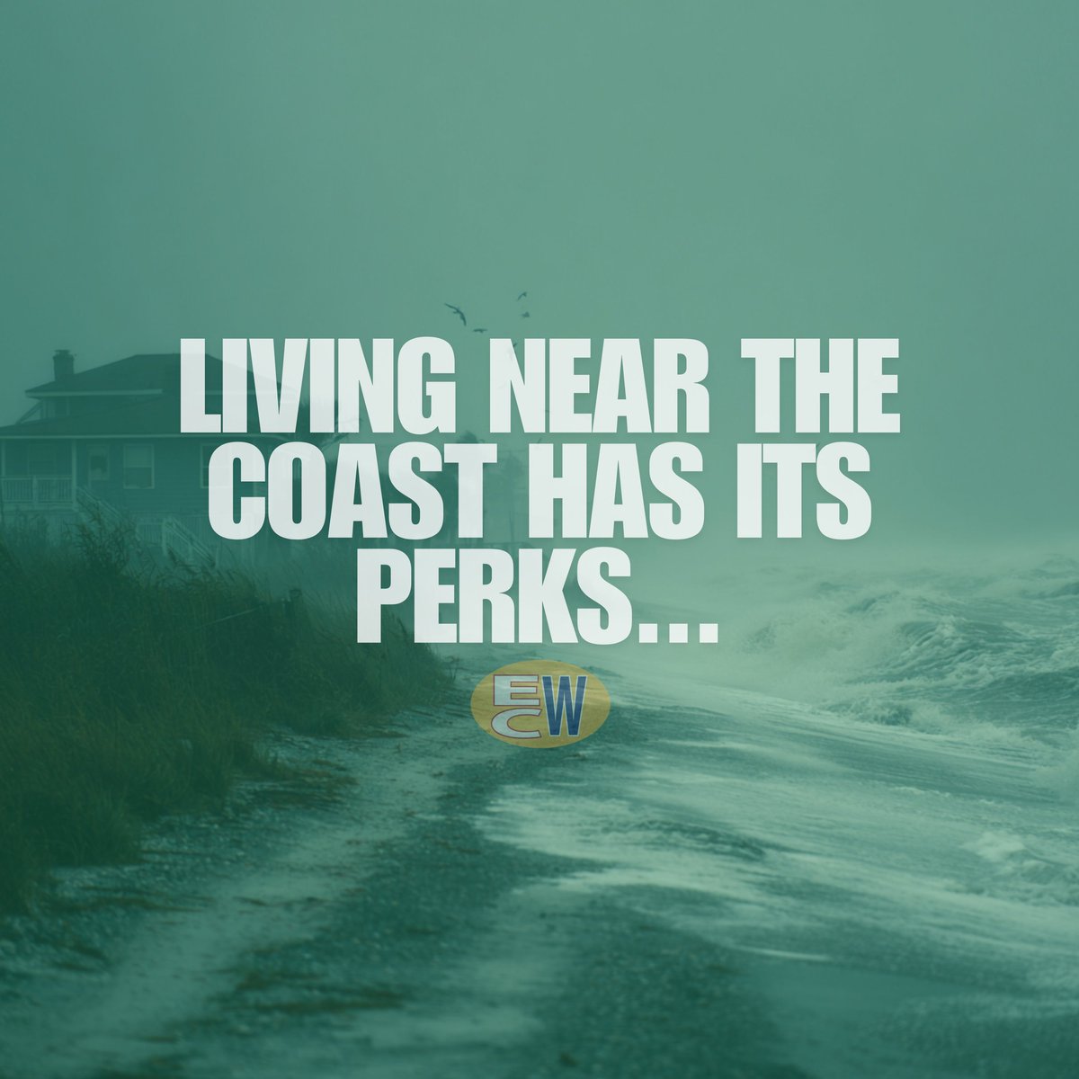 ECoastWindows's tweet photo. Living near the coast has its perks—but also its risks. Our hurricane impact windows are tested and approved to meet Florida Building Code standards for wind and impact resistance. They’re engineered for where we live—and what we live through. https://t.co/2vB1apCAl2